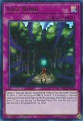 Lost Wind DUDE-EN049