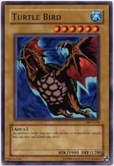 Turtle Bird MP1-014