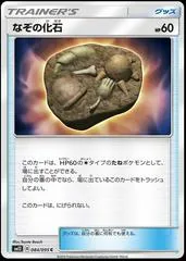 Unidentified Fossil #84