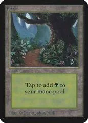 Forest [B]