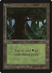 Forest [C]