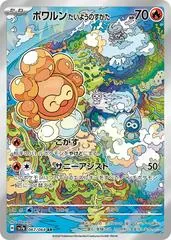 Castform Sunny Form #67
