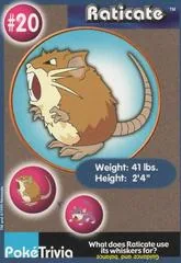 Raticate #20