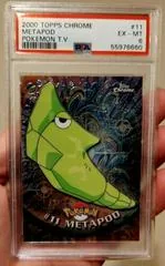 Metapod #11