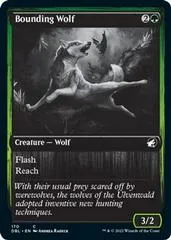 Bounding Wolf #170