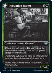 Infestation Expert #473