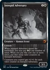 Intrepid Adversary #25
