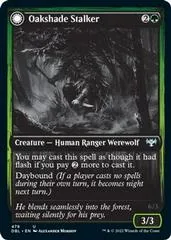 Oakshade Stalker #479