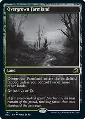 Overgrown Farmland #265