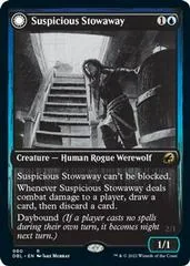 Suspicious Stowaway #80