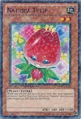 Naturia Tulip DT03-EN020