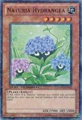 Naturia Hydrangea DT03-EN072