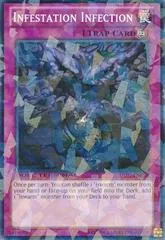 Infestation Infection DT07-EN050