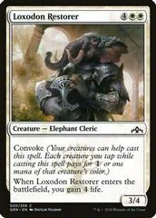 Loxodon Restorer #020