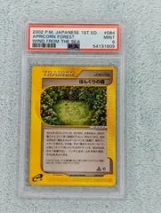 Apricorn Forest #84