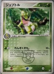 Grovyle #5