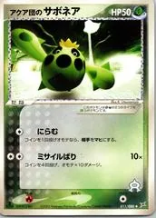 Team Aqua's Cacnea #11