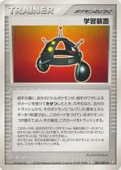 EXP. ALL #81