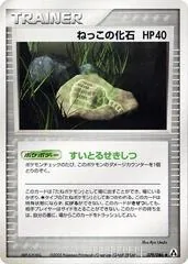 Root Fossil #79