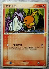 Torchic #13