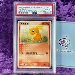 Torchic #12