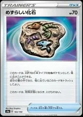 Rare Fossil #165