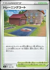 Training Court #180