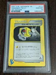 Jasmine's TM 01 #111