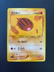 Swinub