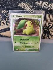 Chikorita