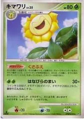 Sunflora