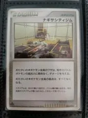Sunyshore City Gym #82