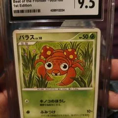 Paras #5