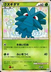 Pineco #6