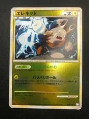 Elekid #28