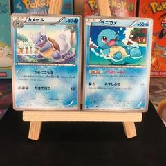 Wartortle #13