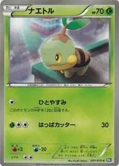 Turtwig #1