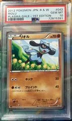 Riolu #42