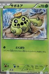 Cacnea #4
