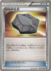 Plume Fossil #66