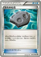 Cover Fossil #67