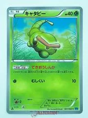 Caterpie #1