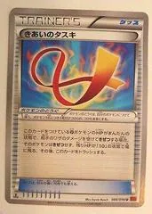 Focus Sash #88