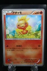 Torchic #17