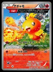 Torchic #18
