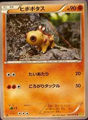 Hippopotas #41