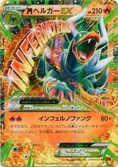 M Houndoom EX #10