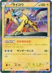 Raikou #26