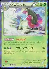Meganium #3