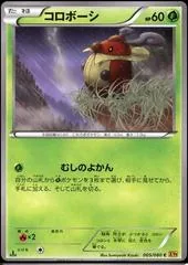 Kricketot #5